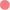 Projekti