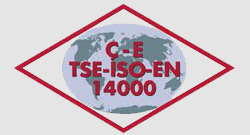 Sarten